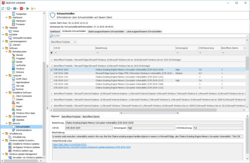 CVE Software Schwachstellen erkennen und beheben